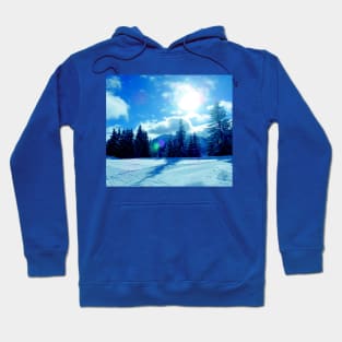 Blue sky, snow and trees Hoodie